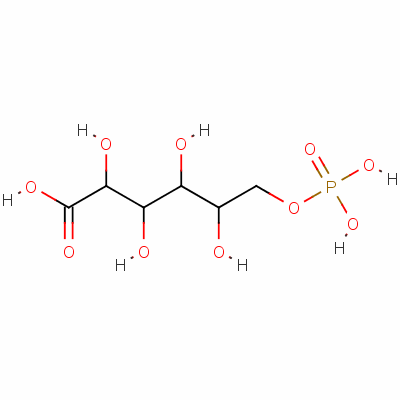 53411-70-4结构式