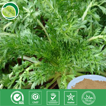 玛卡生粉价格批发采购、优质玛卡生粉生产厂家