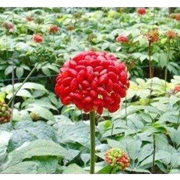 提供医药原料批发\/采购、医药原料设备以及生