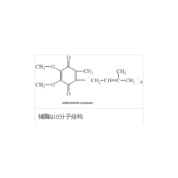 辅酶q10 coenzyme q10