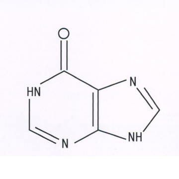 搜索:次黄嘌呤 (8 个产品)