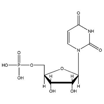 一磷酸尿苷