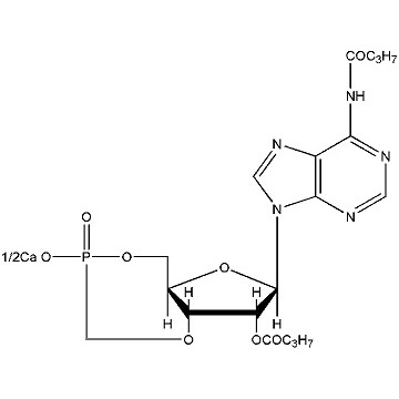 二丁酰环磷腺苷钙