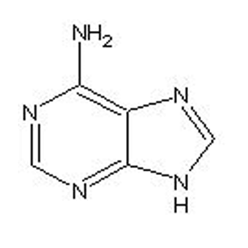 腺嘌呤 (6-氨基嘌呤)