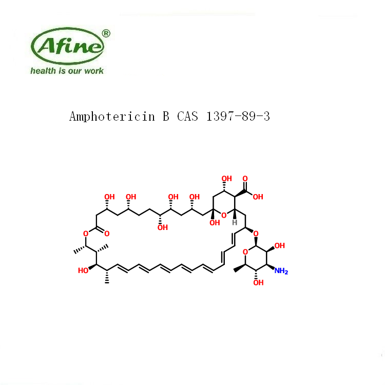 amphotericin b两性霉素b