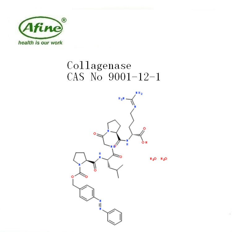 collagenase胶原蛋白酶 胶原酶