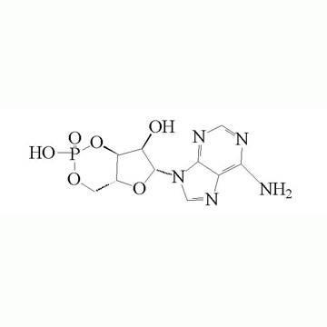 环磷腺苷