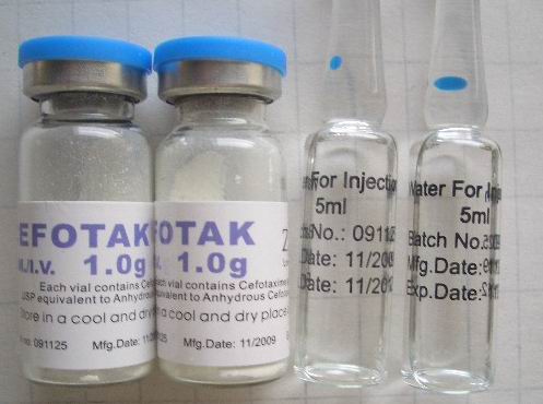 注射用头孢噻肟钠价格-西安美康进出口有限公司
