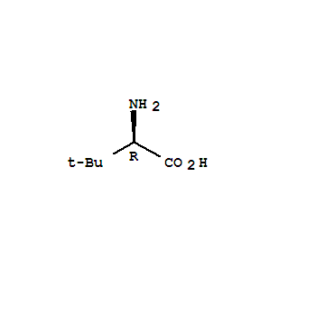 亮氨酸