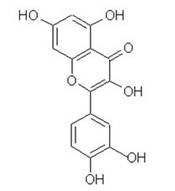 槲皮素quercetin