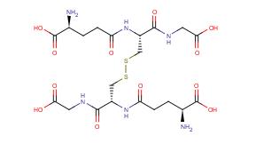 谷胱甘肽(氧化型)
