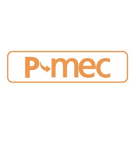 P-MEC China 2020