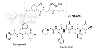 26S蛋白酶体抑制剂现状及新药分子开发_CPh