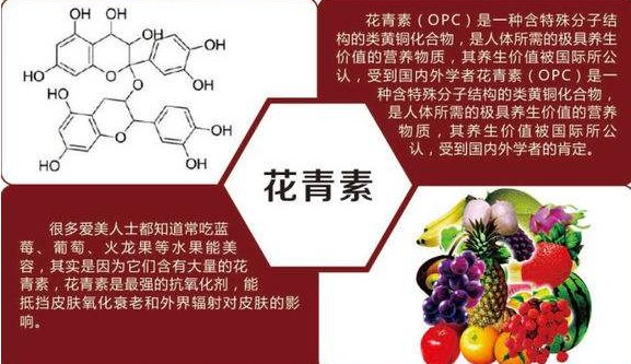 花青素含量高的水果有哪些