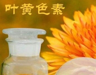 叶黄素哪个牌子最好_CPhI制药在线专业网上贸