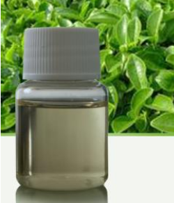 冬青油的副作用是什么