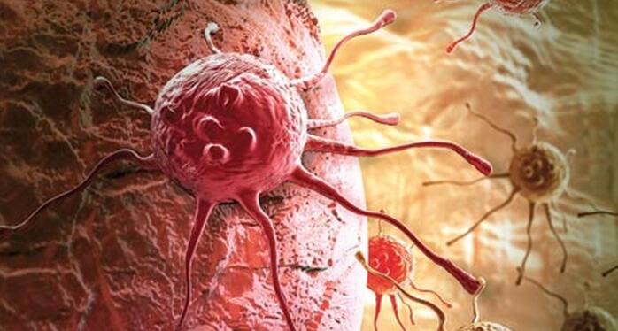 Adaptimmune的TCR-T细胞疗法对实体瘤又产生应答,股价上涨20%!