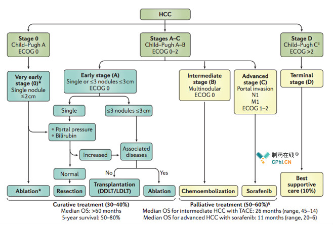 bclc staging system and therapeutic strategy