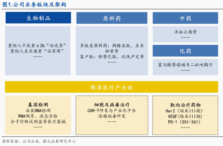 公司业务板块及架构